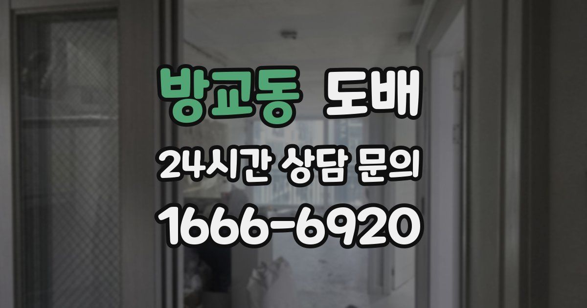 방교동 도배