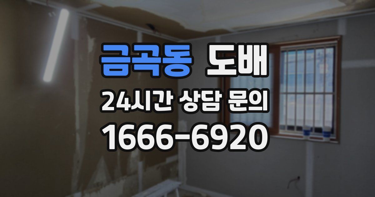 금곡동 도배