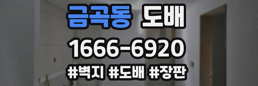금곡동 도배