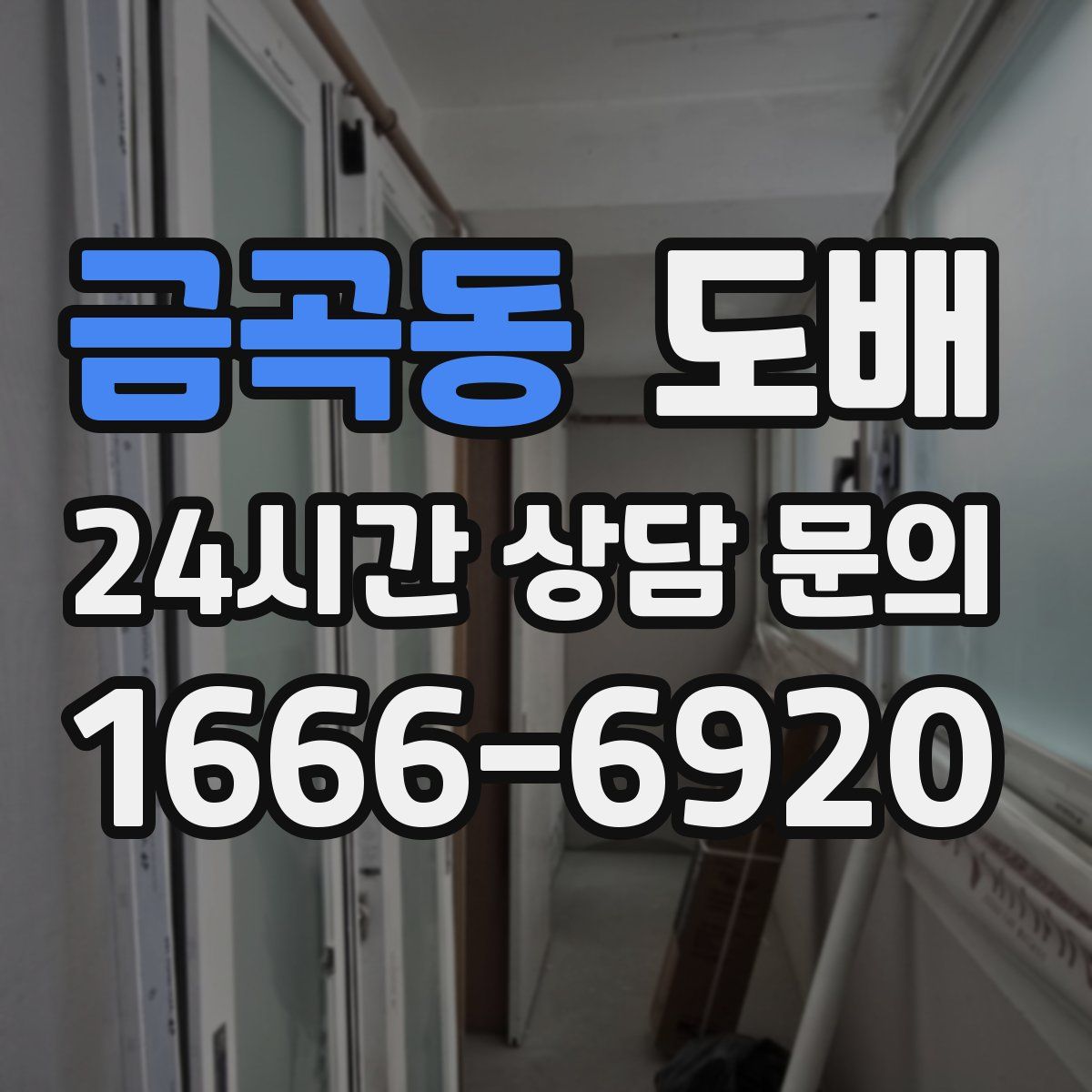 금곡동 도배
