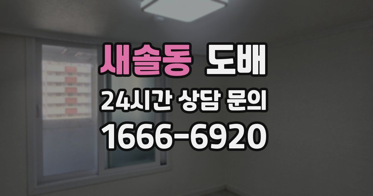 새솔동 도배