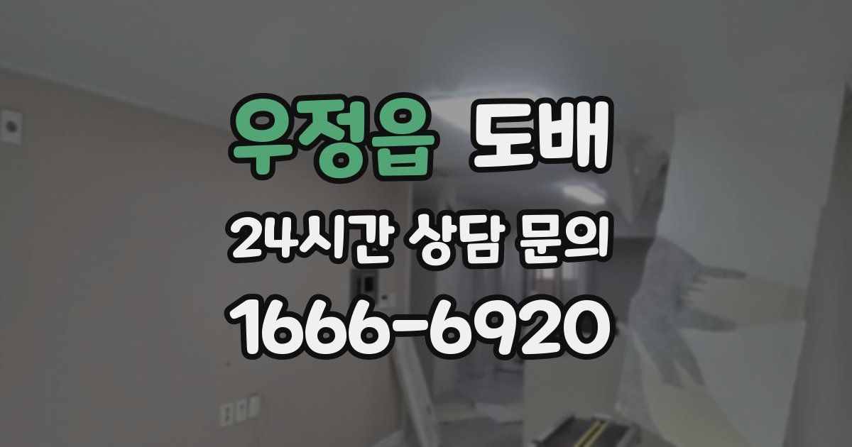 우정읍 도배