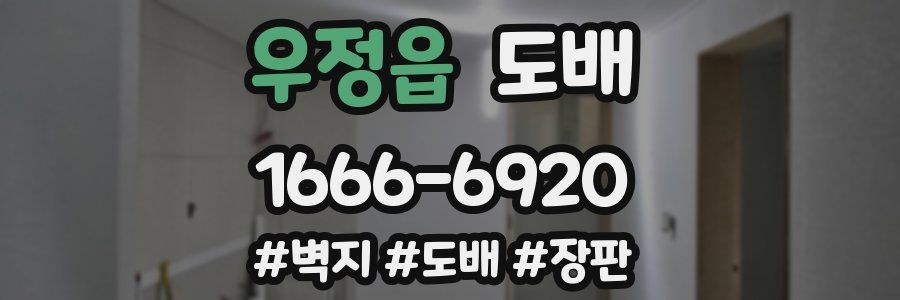 우정읍 도배