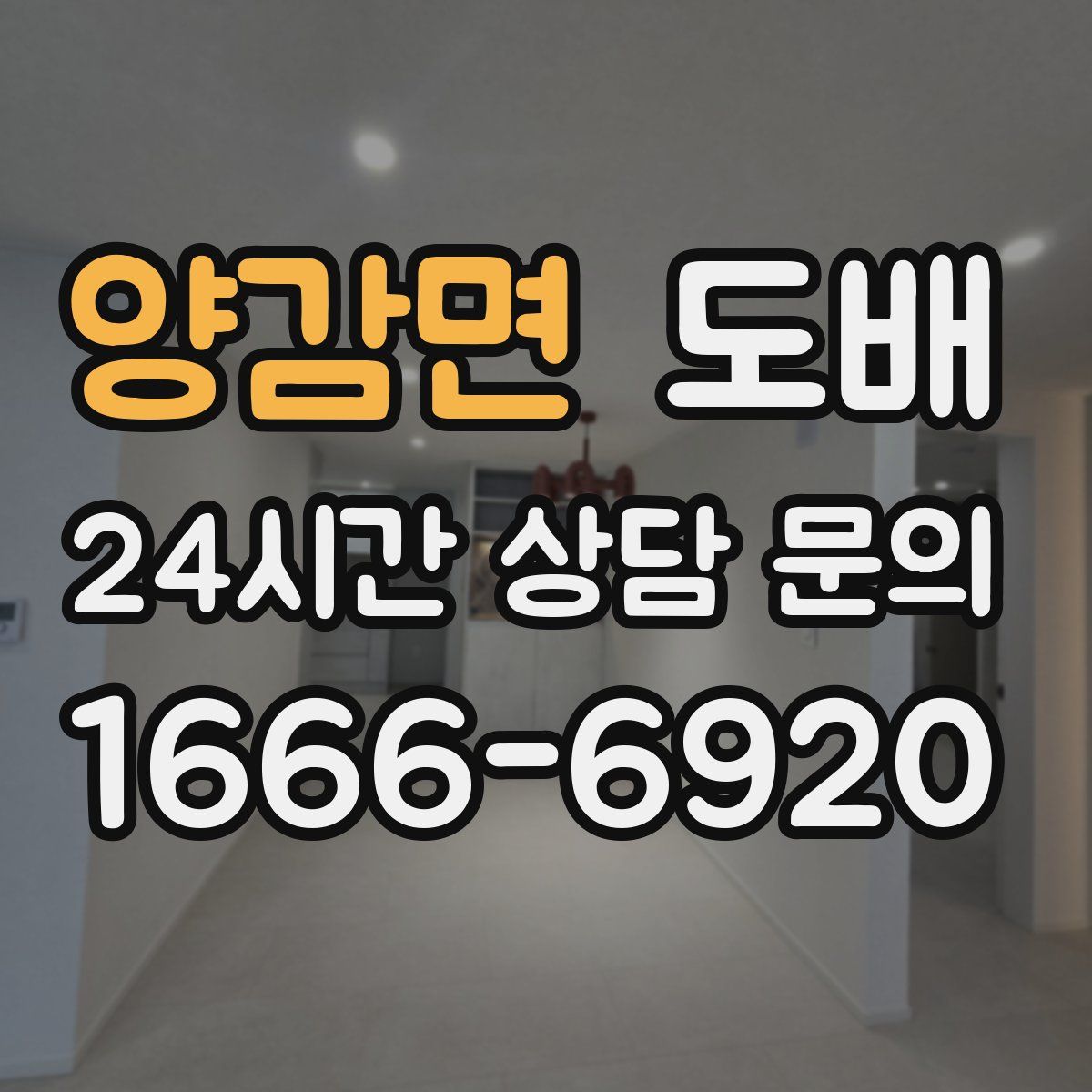 양감면 도배