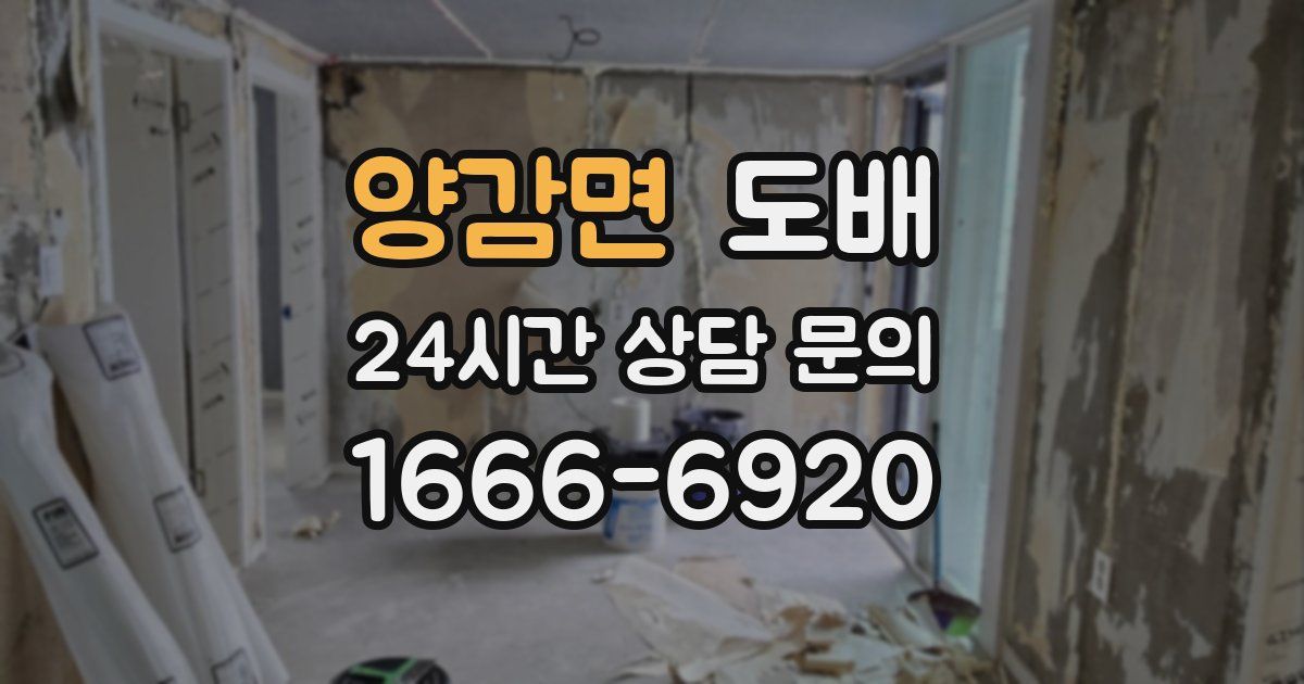 양감면 도배