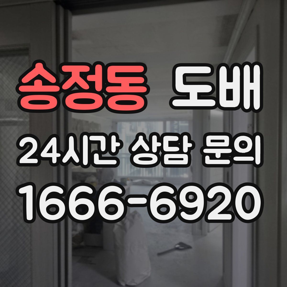 송정동 도배