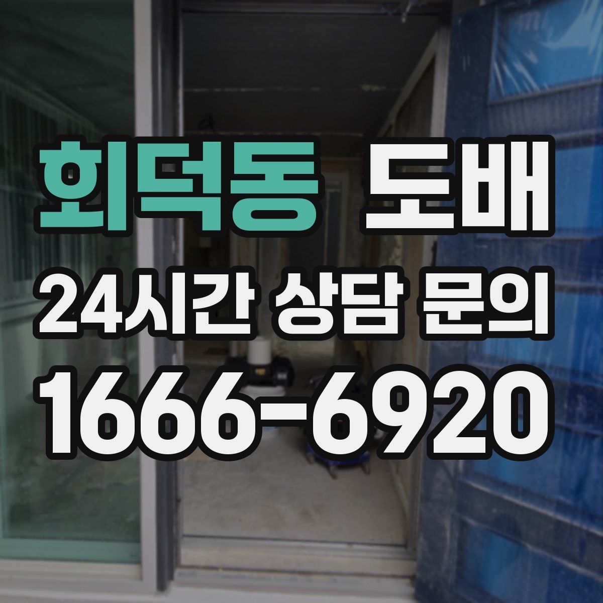 회덕동 도배