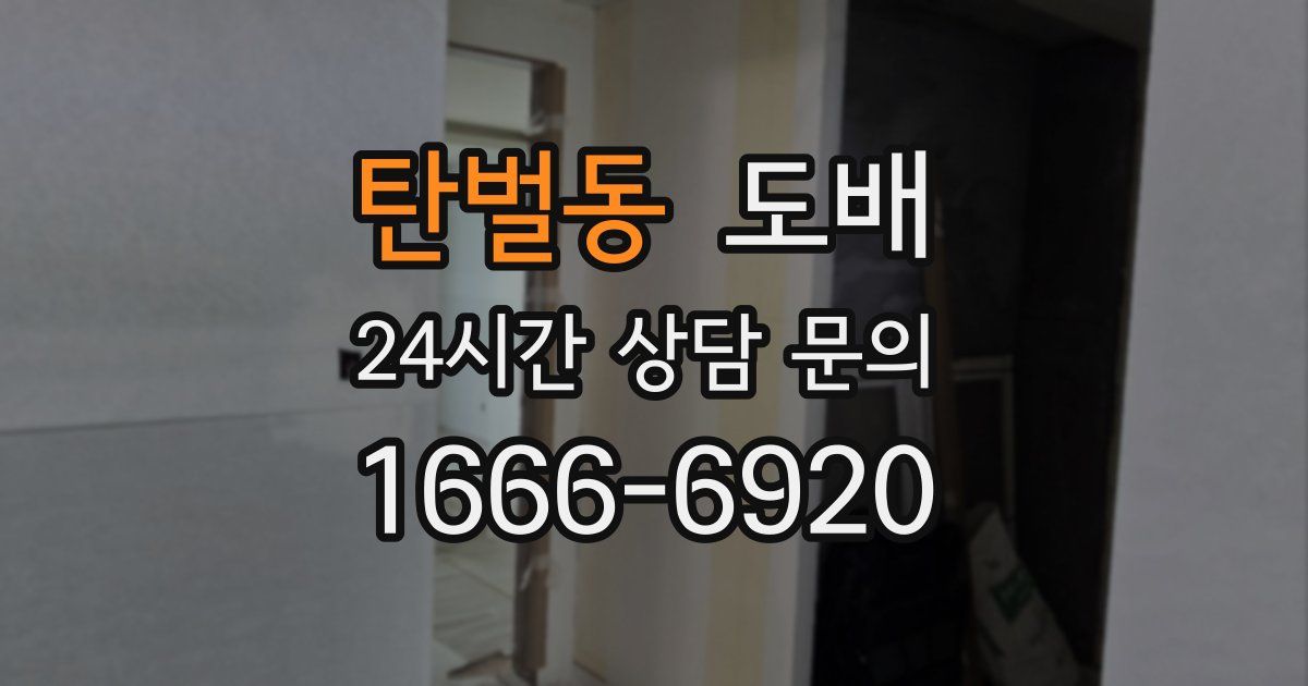 탄벌동 도배