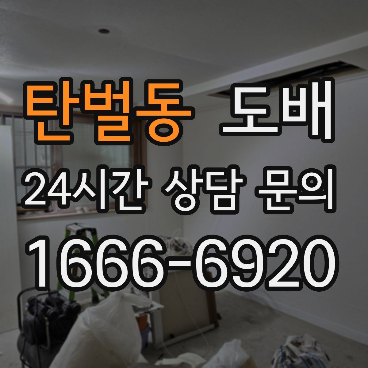 탄벌동 도배