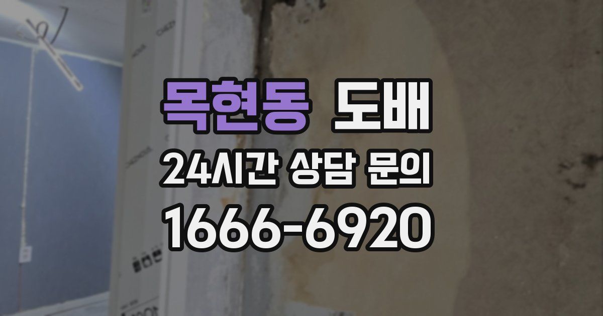 목현동 도배