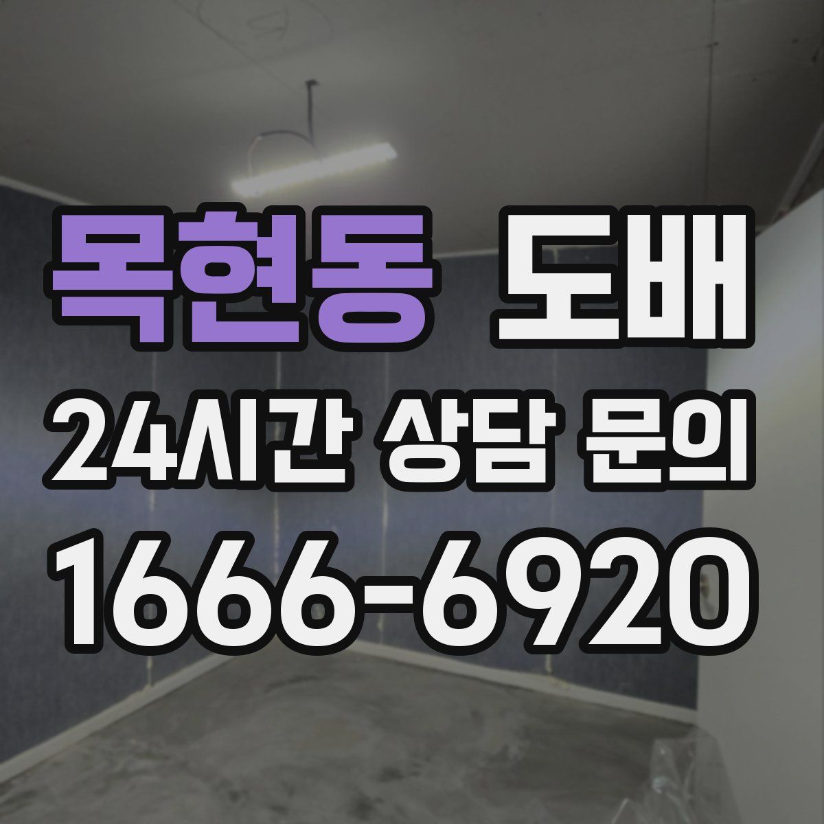 목현동 도배