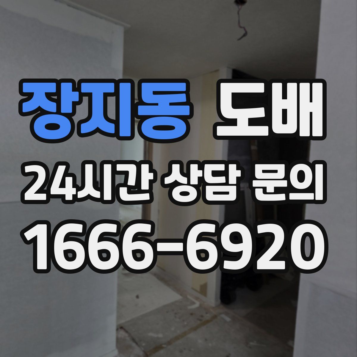장지동 도배