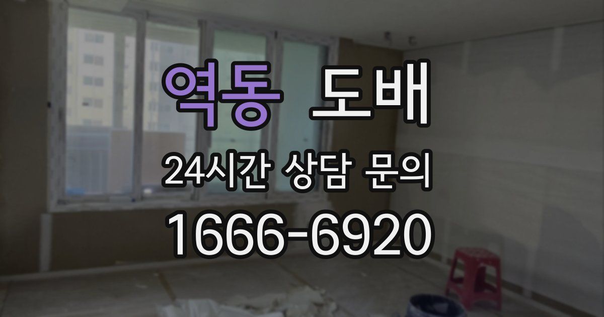 역동 도배