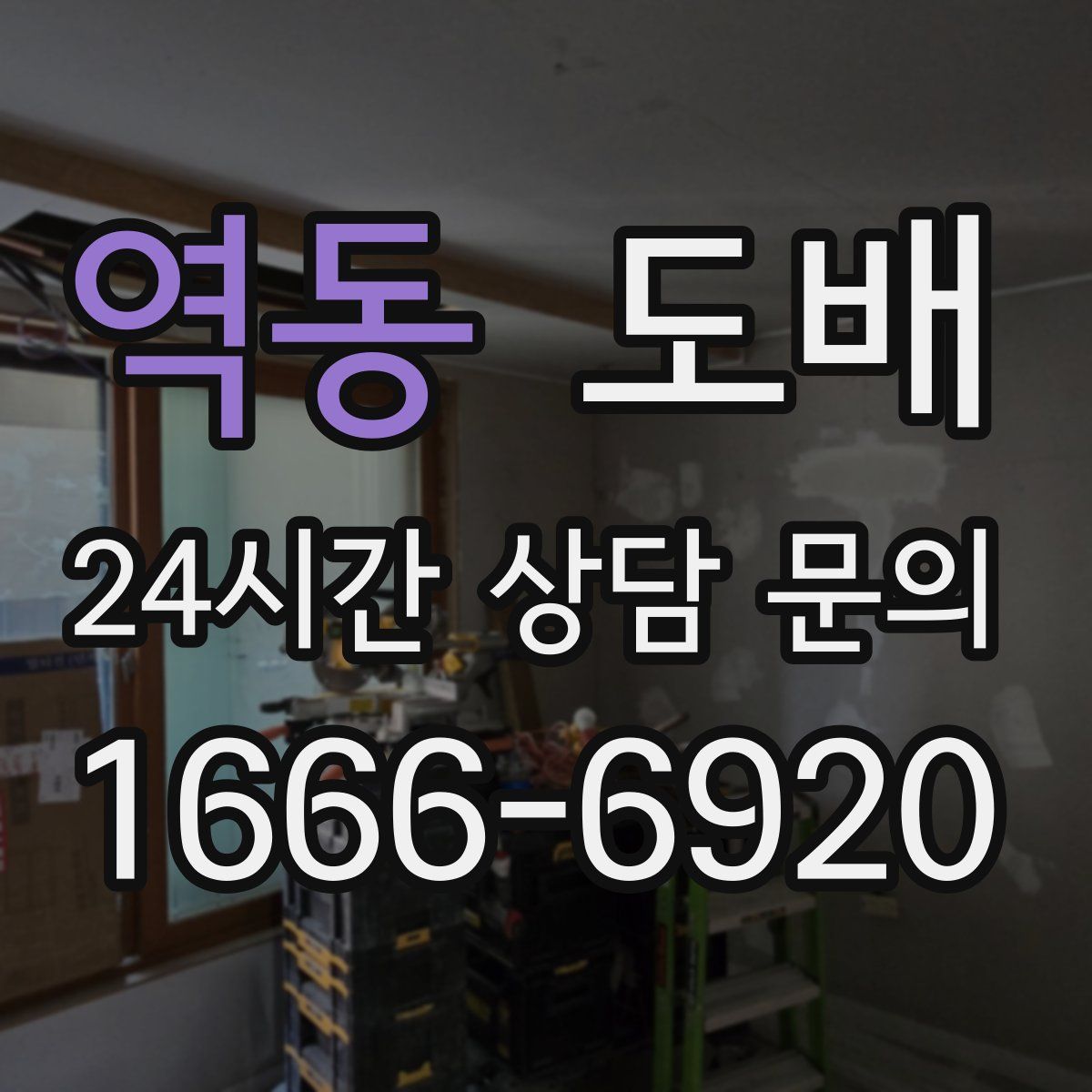 역동 도배