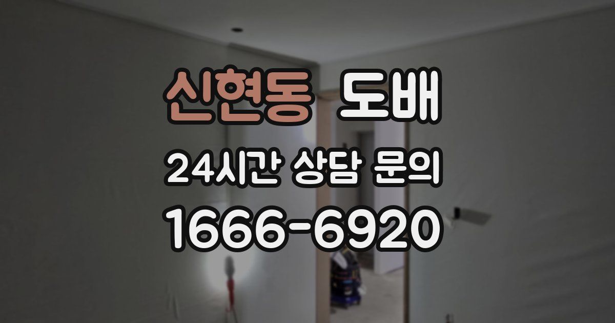 신현동 도배
