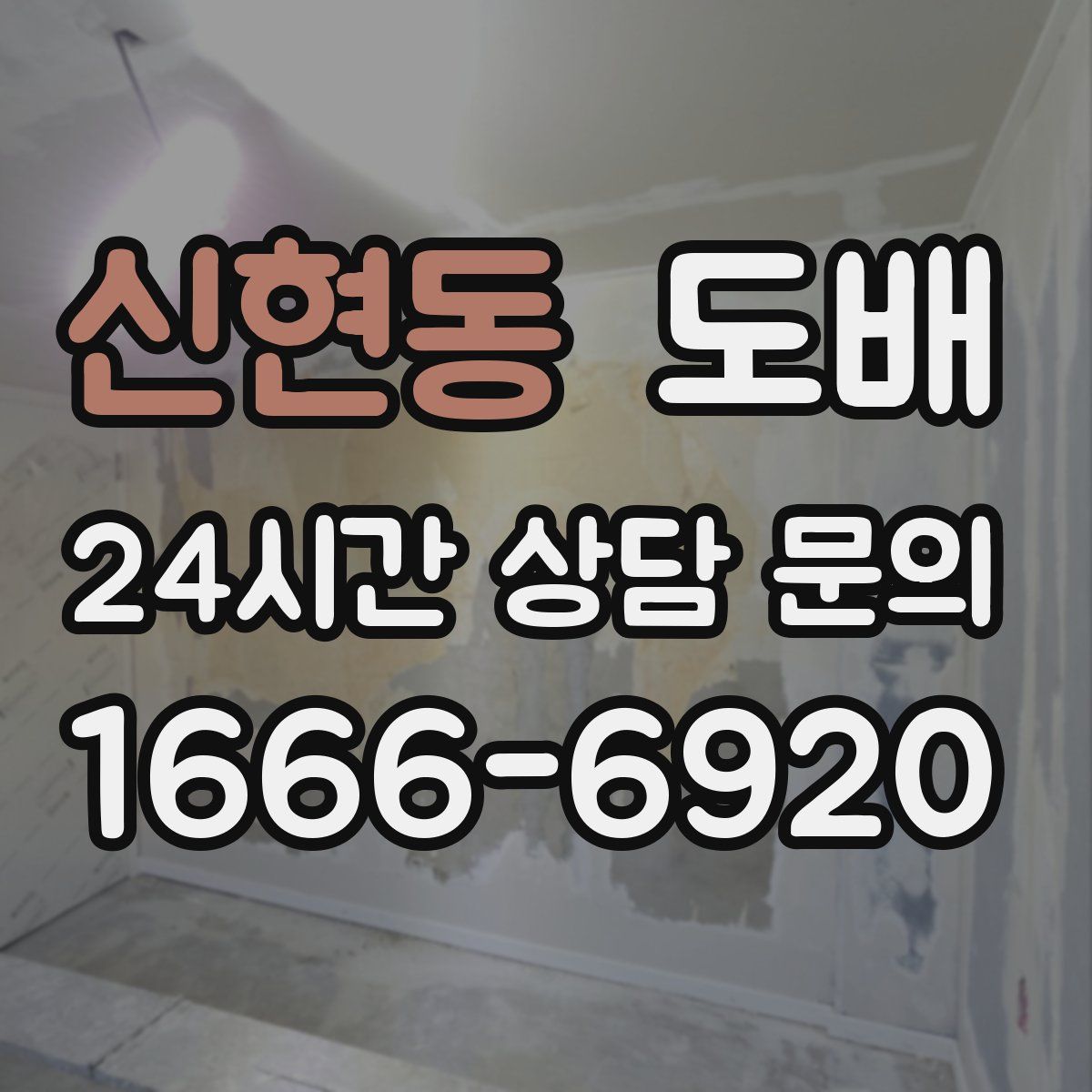 신현동 도배