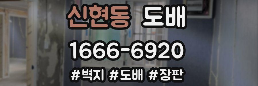 신현동 도배