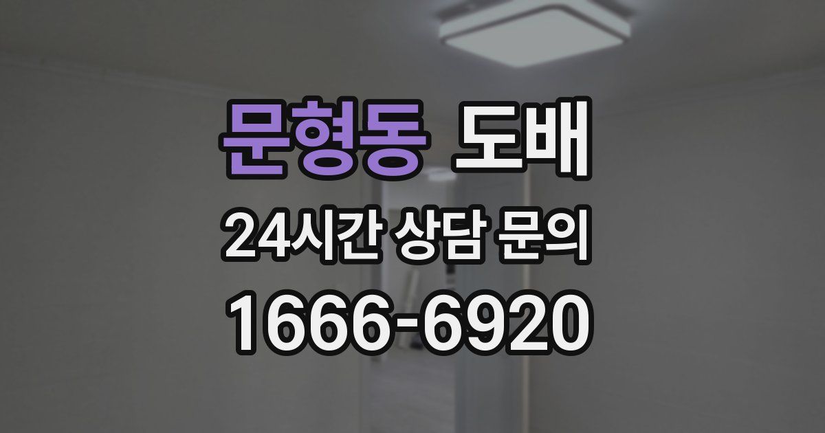문형동 도배