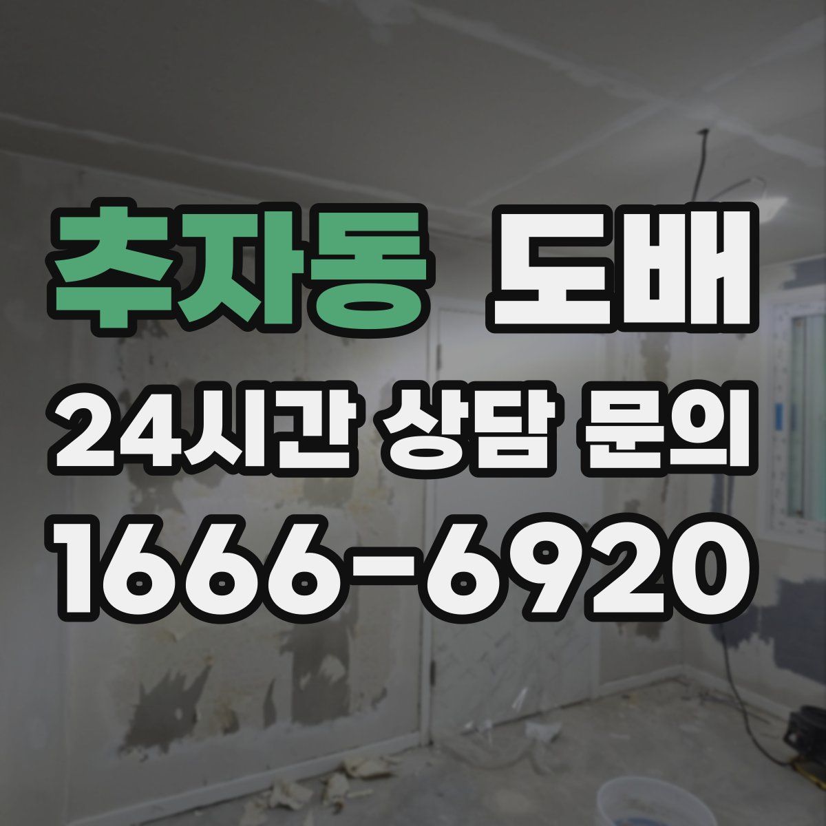 추자동 도배