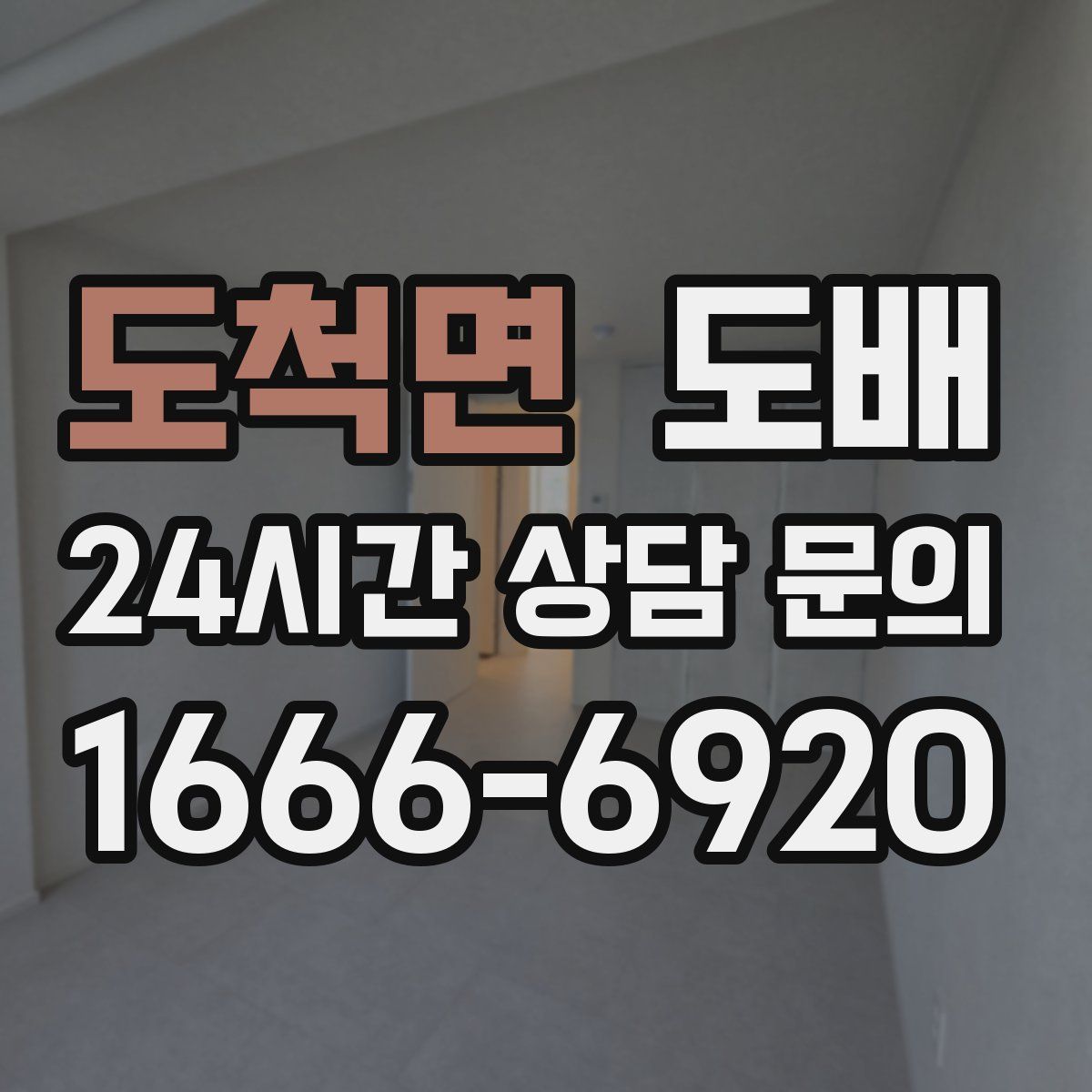도척면 도배