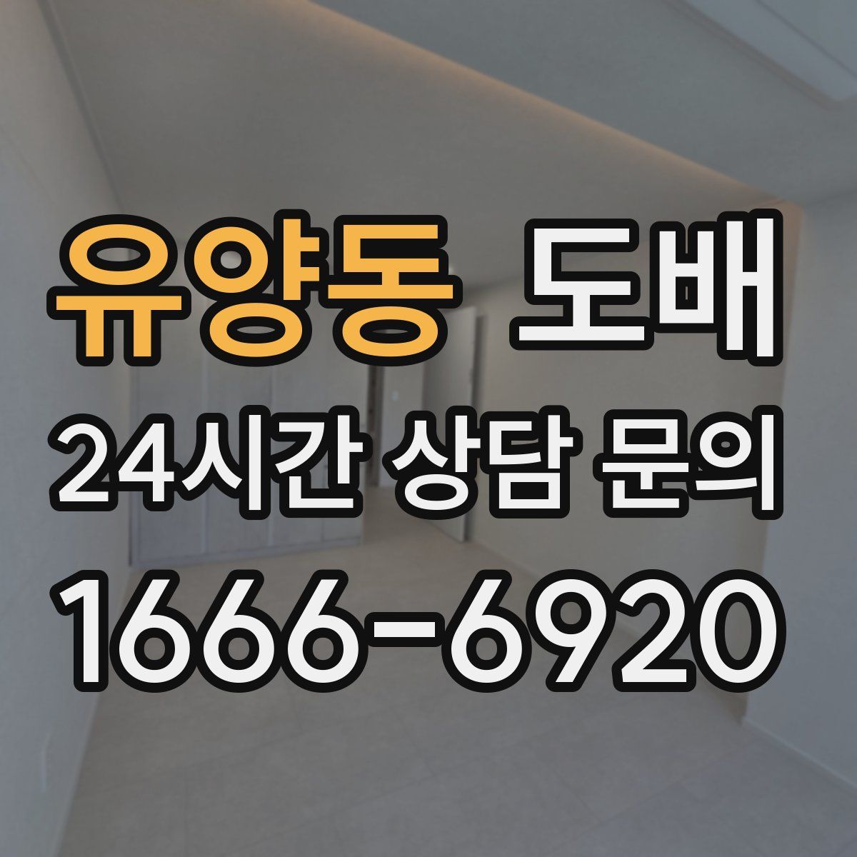 유양동 도배