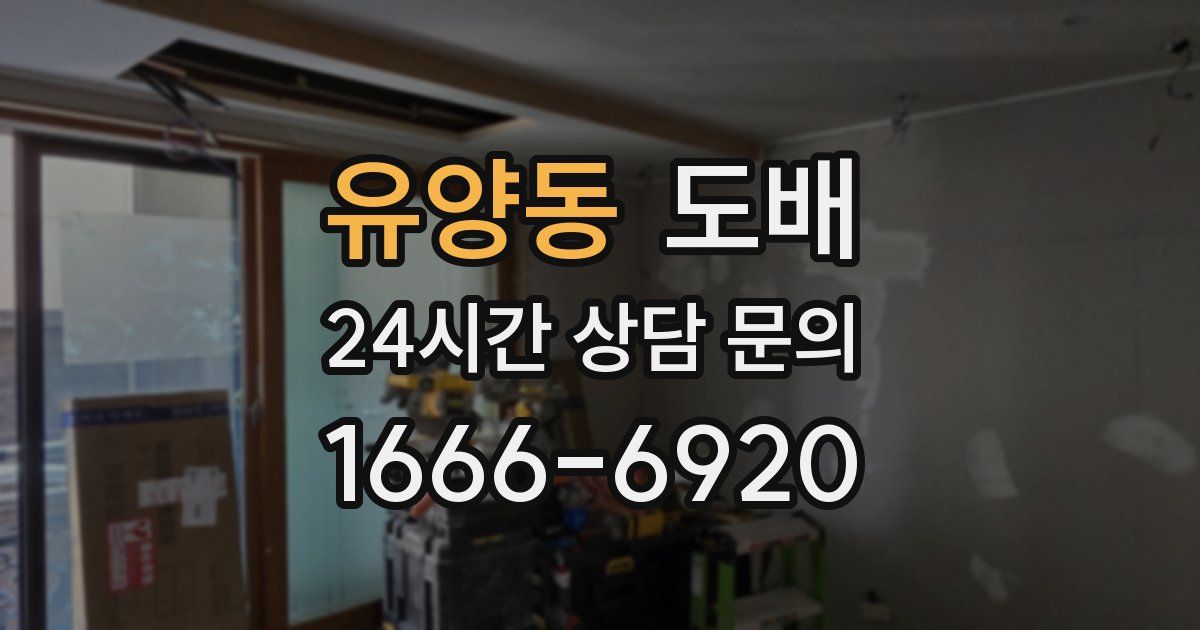 유양동 도배