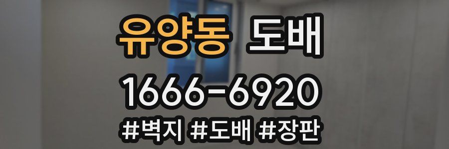 유양동 도배