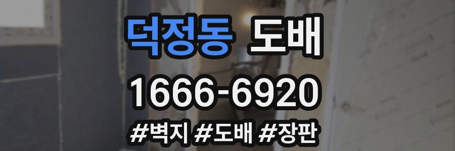 덕정동 도배