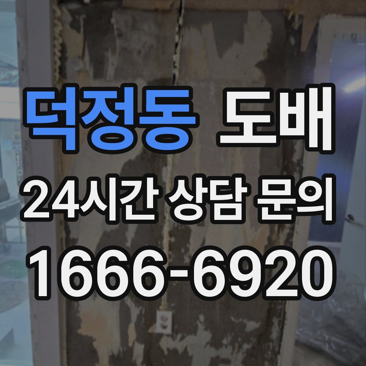 덕정동 도배