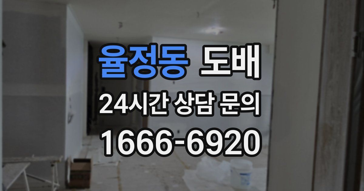 율정동 도배