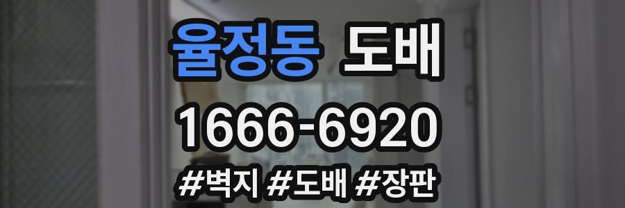 율정동 도배