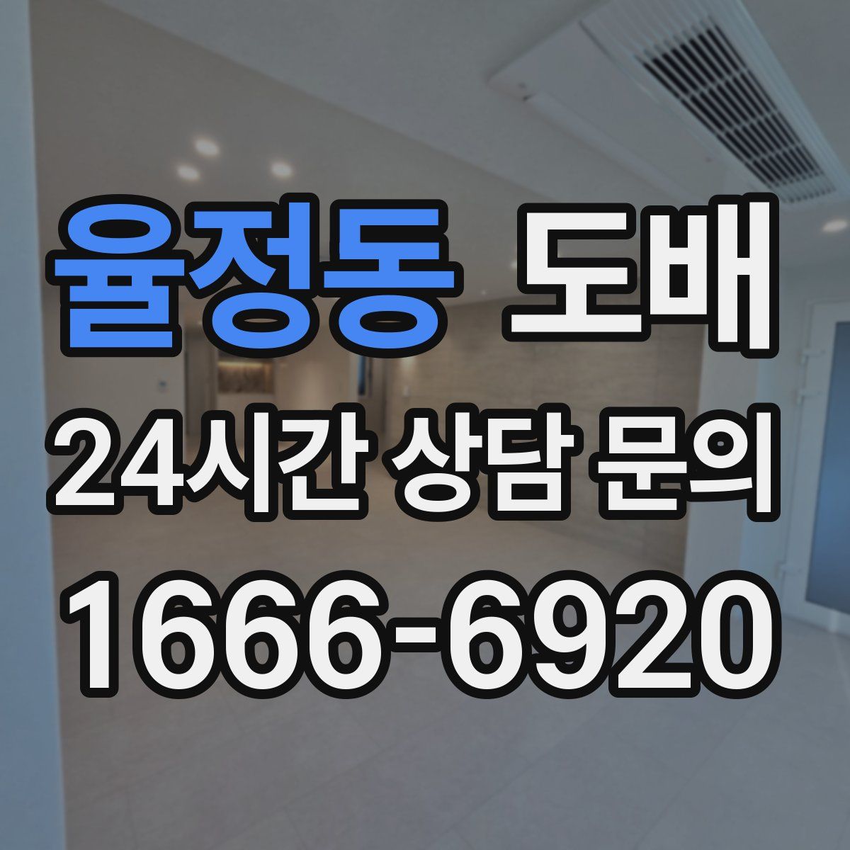 율정동 도배