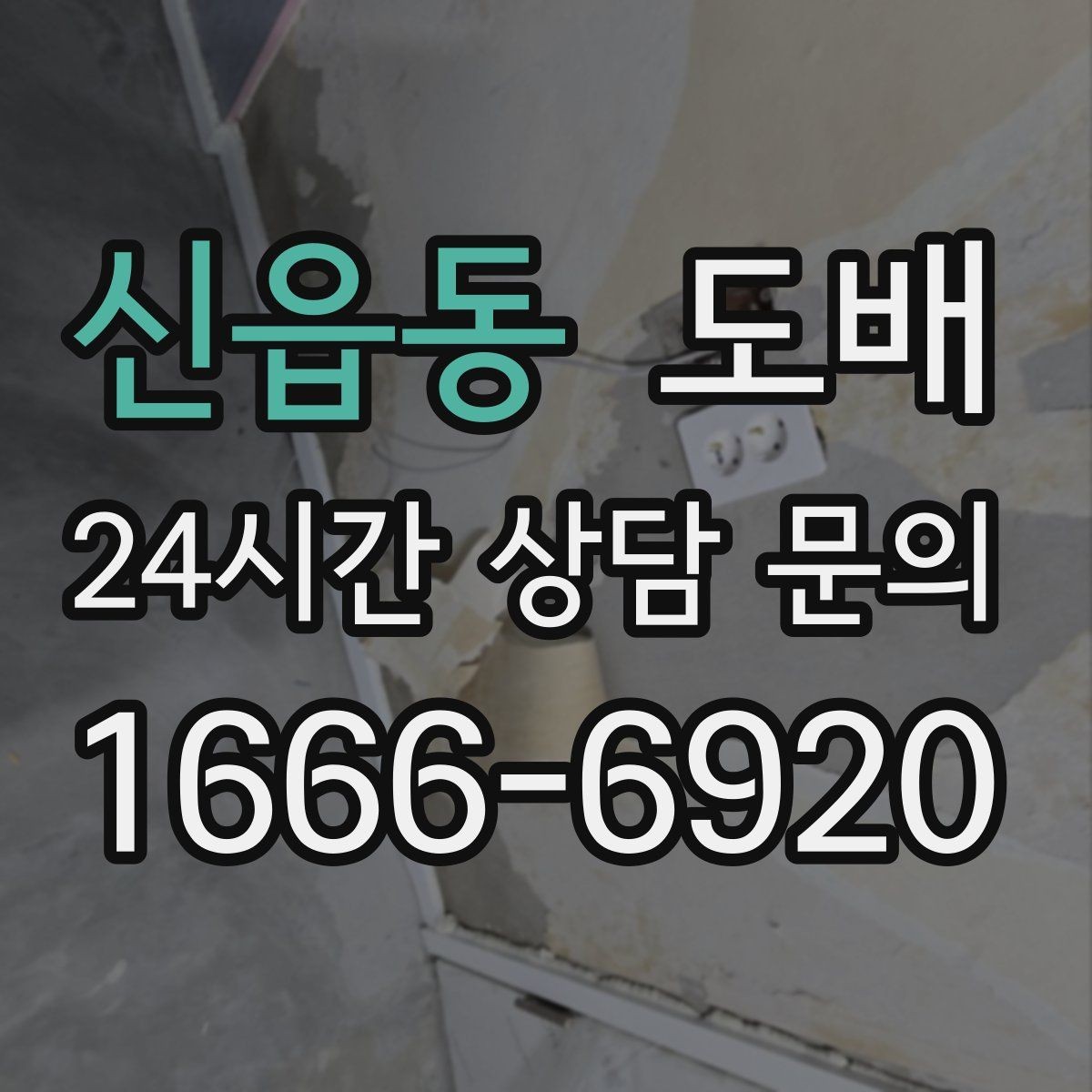 신읍동 도배 벽지 무늬와 조명 조합을 맞추는 법
