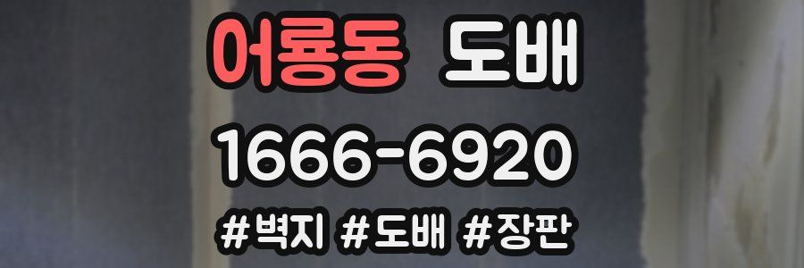 어룡동 도배