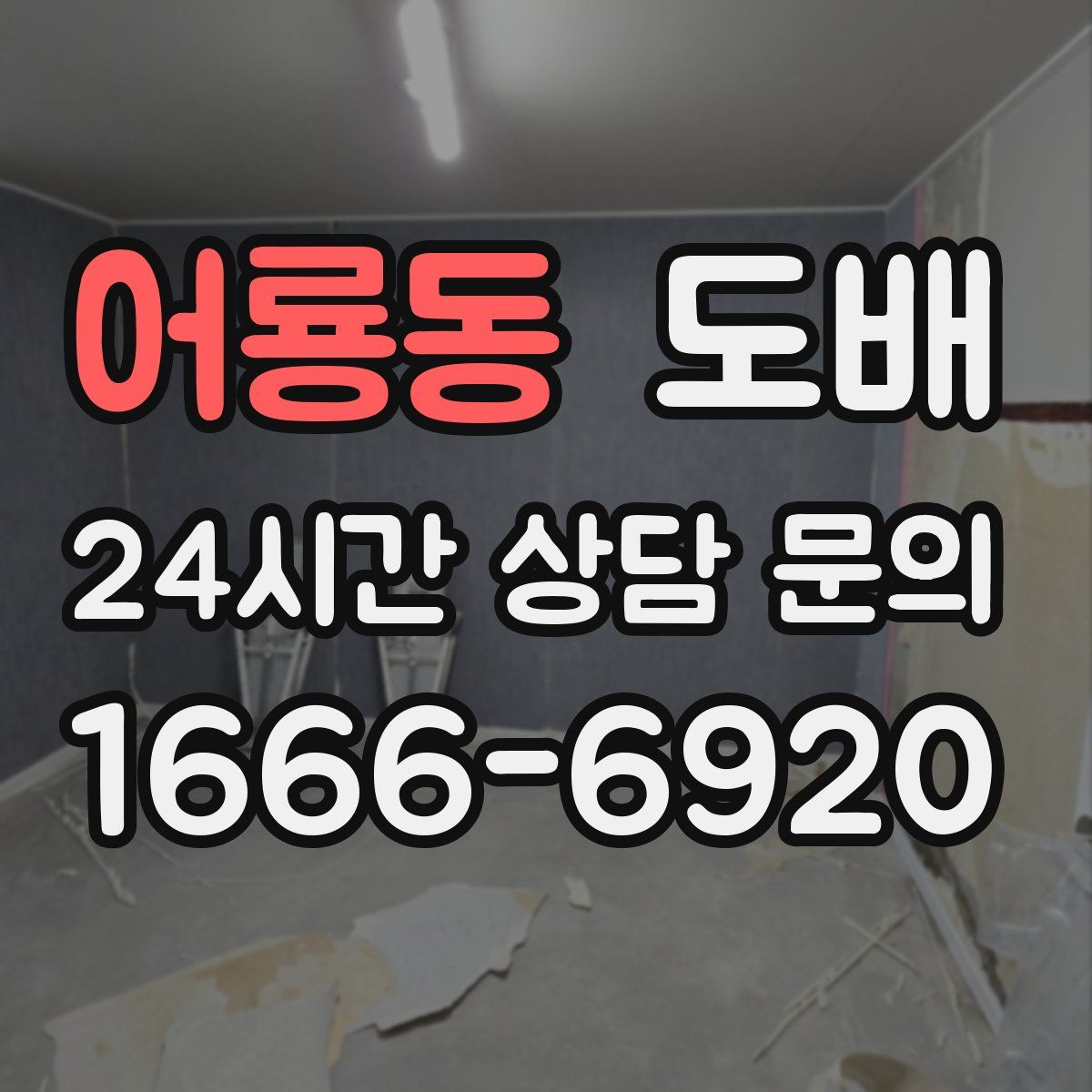 어룡동 도배
