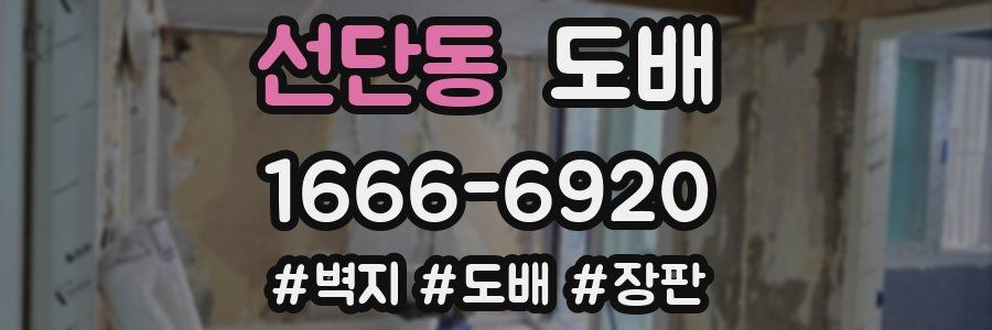 선단동 도배