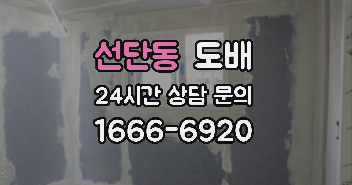 선단동 도배