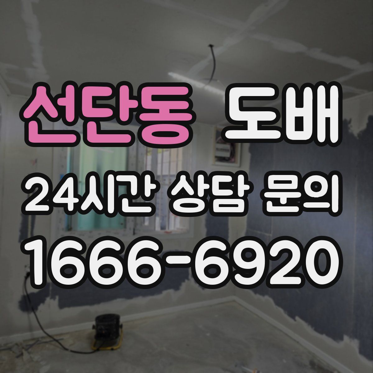 선단동 도배