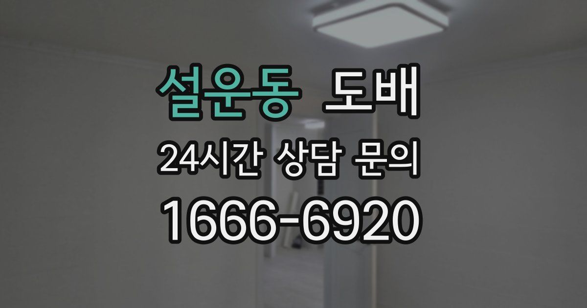 설운동 도배