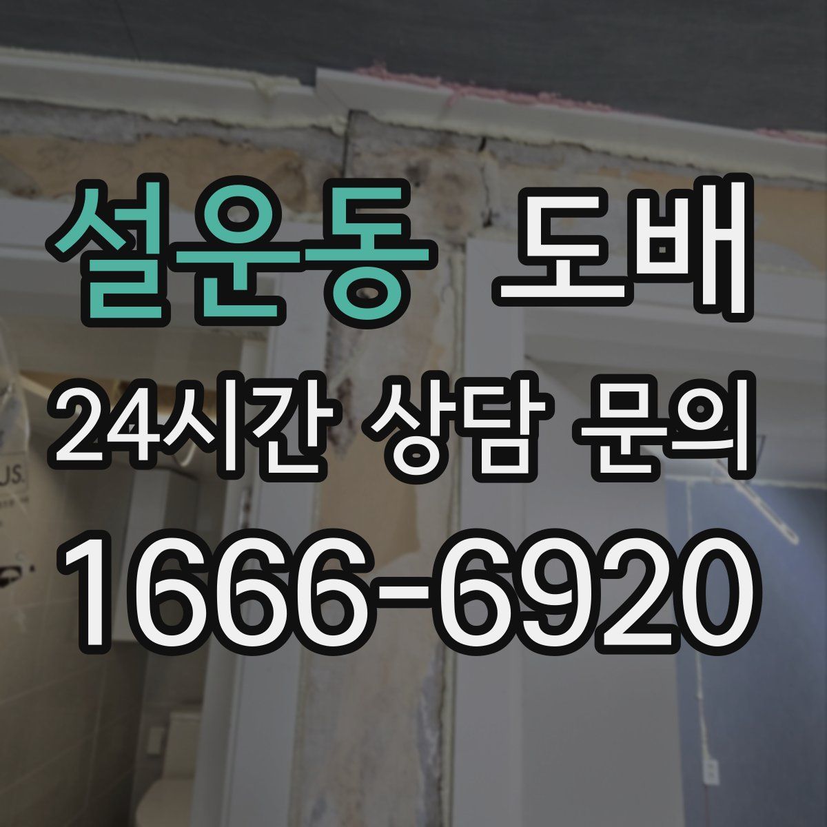 설운동 도배