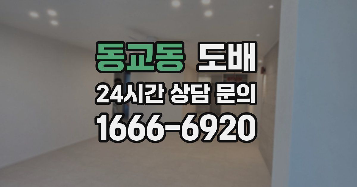 동교동 도배