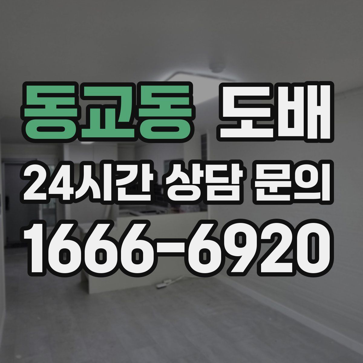 동교동 도배