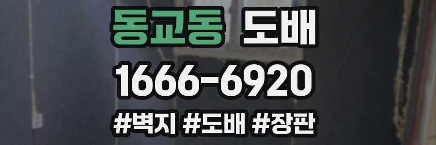 동교동 도배