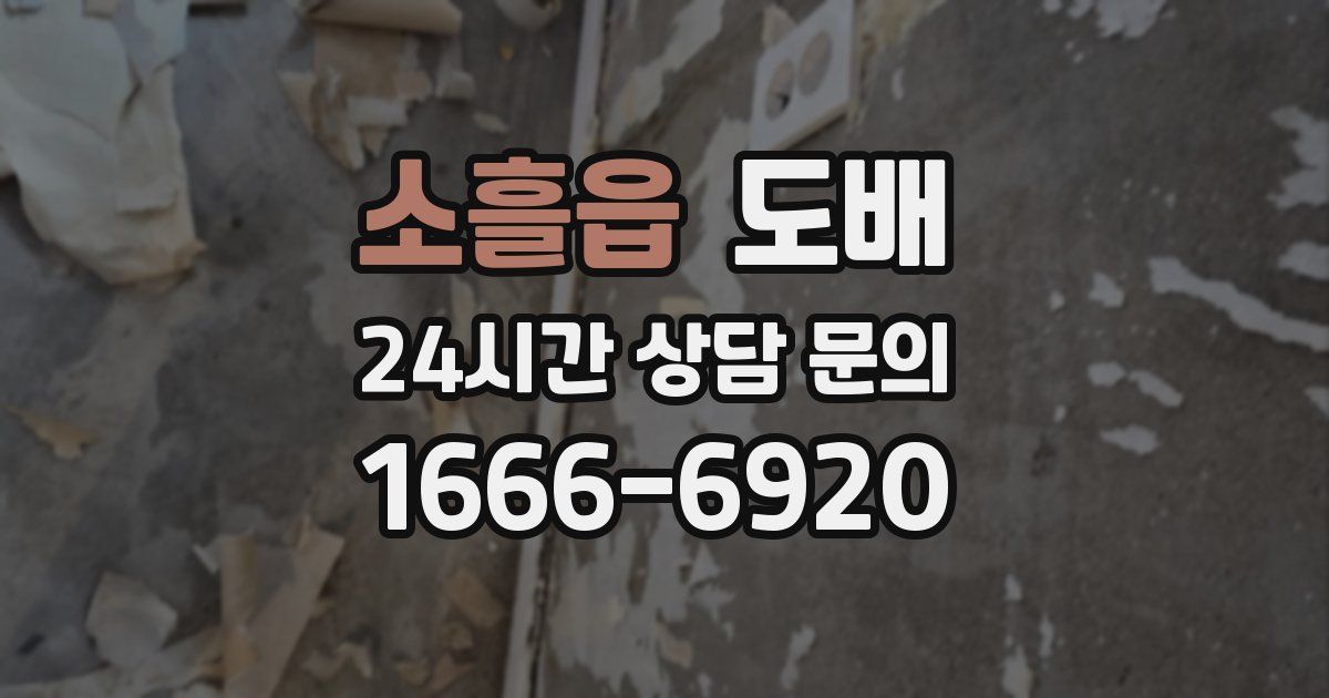 소흘읍 도배