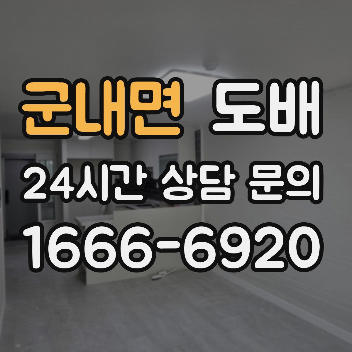 군내면 도배