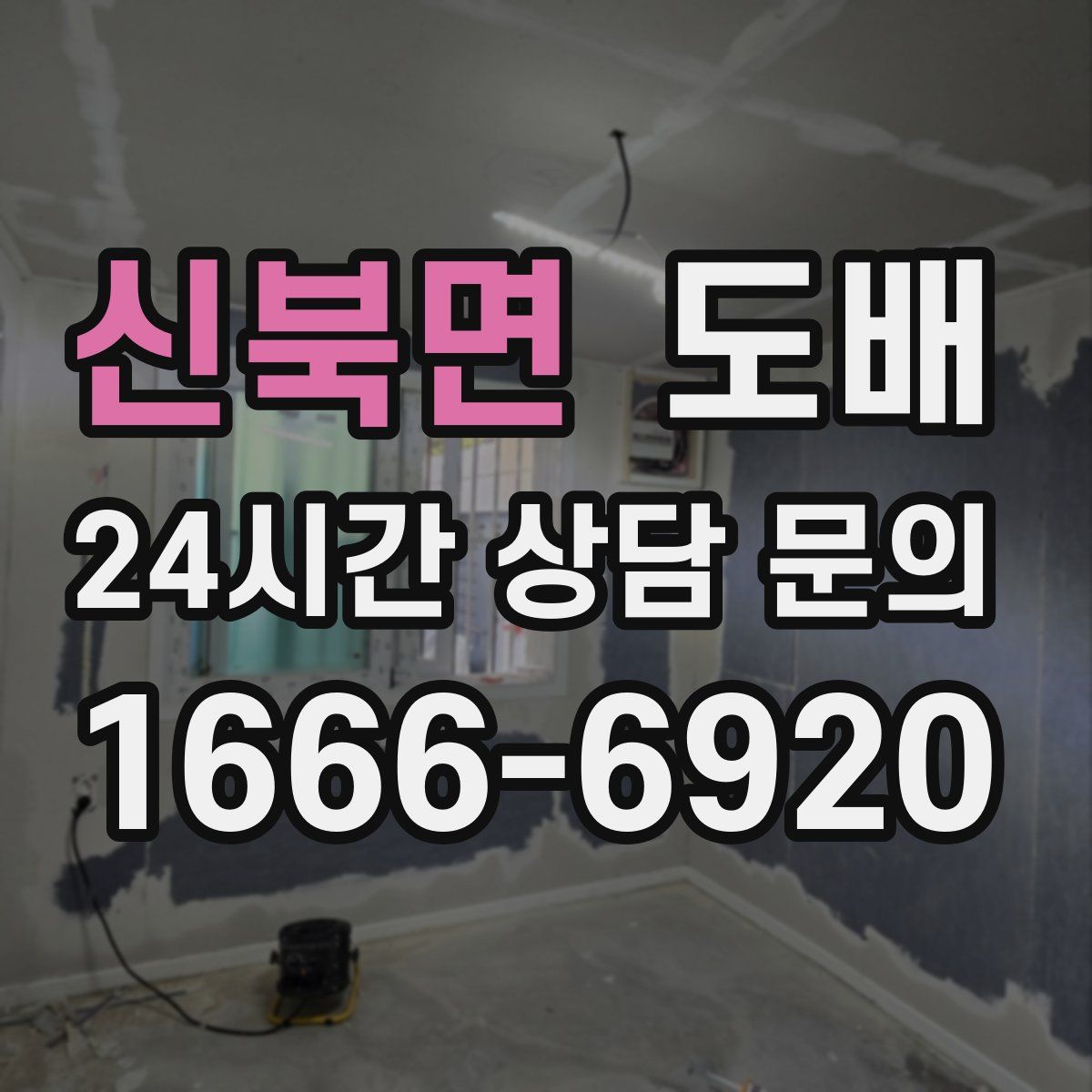 신북면 도배