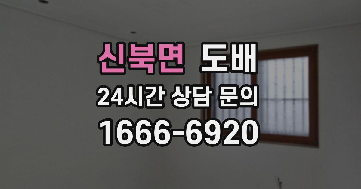 신북면 도배
