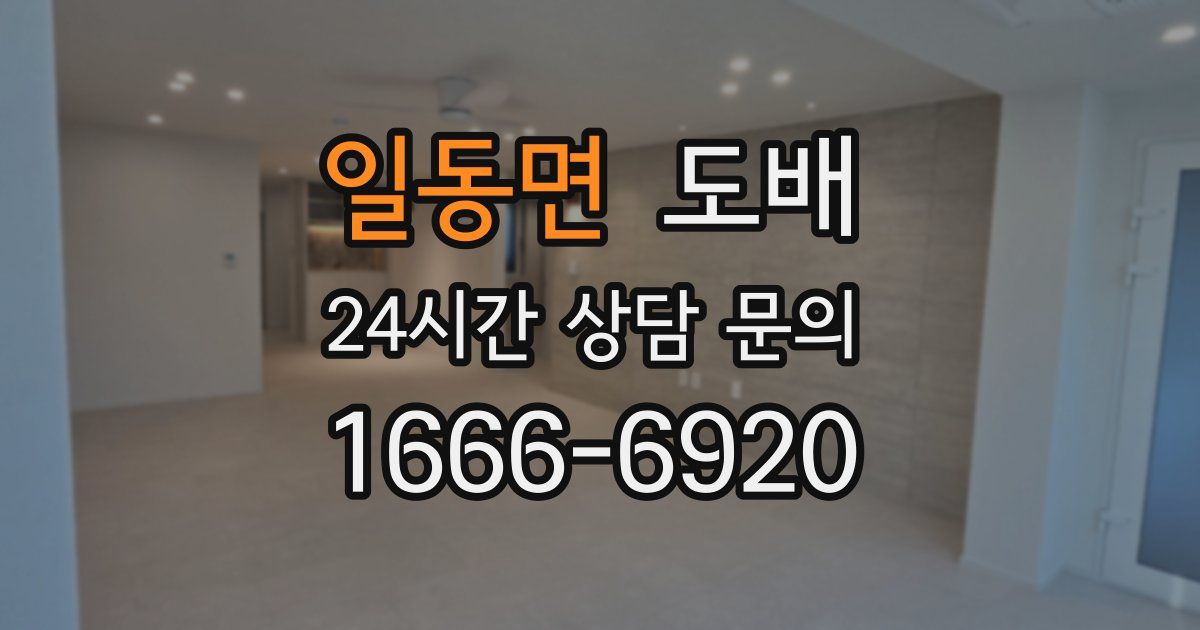 일동면 도배