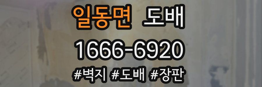 일동면 도배