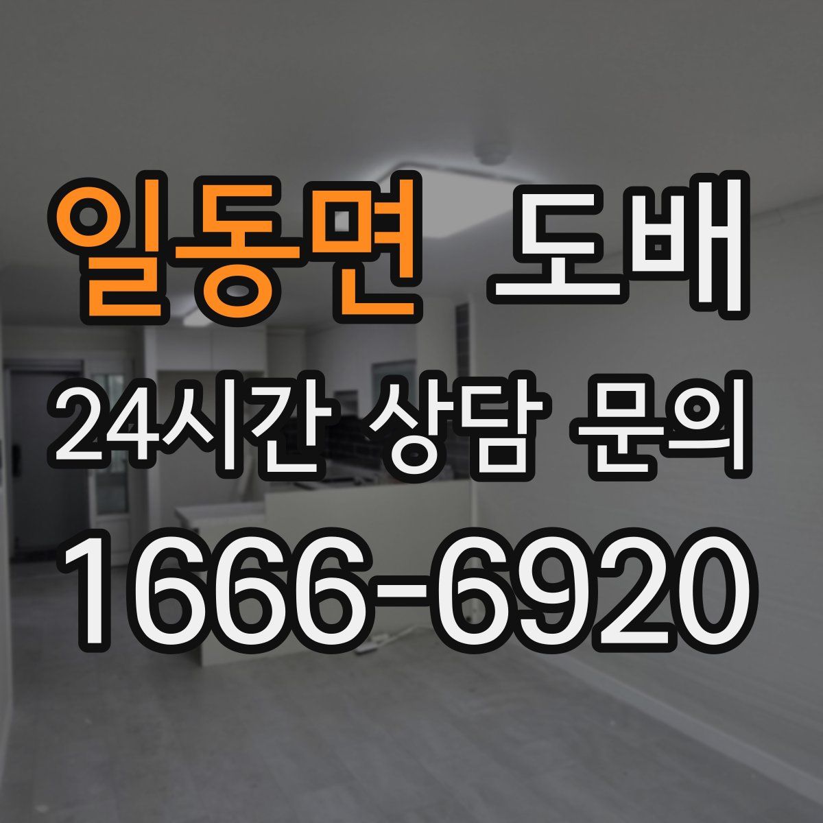일동면 도배